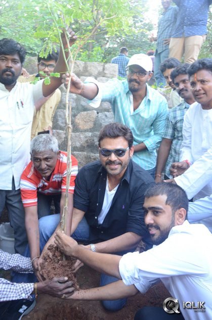 -Venkatesh-At-Haritha-Haaram-Event